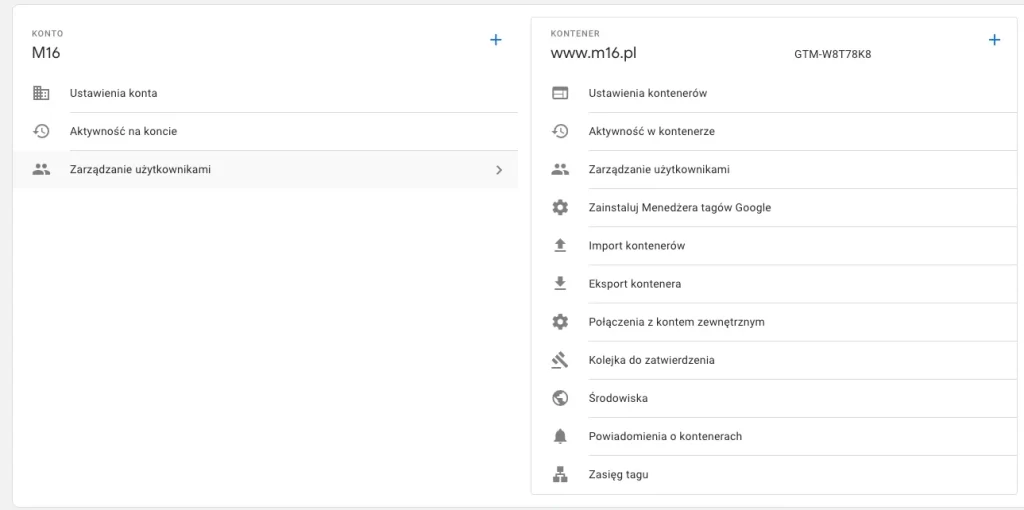 Google Tag Manager dodawanie użytkownika